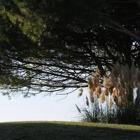 Cosmopolitan Golf & Tirrenia